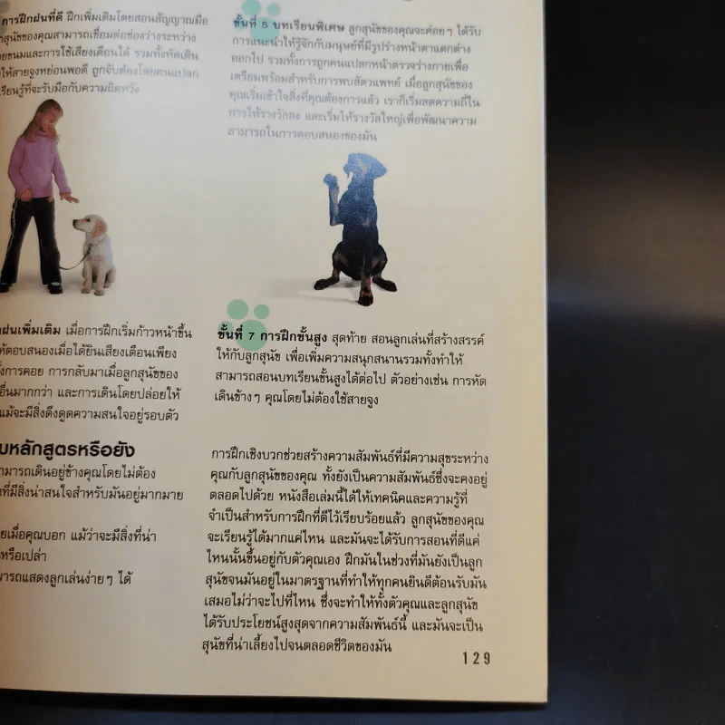 โรงเรียนลูกสุนัข - Gwen Bailey รูปที่ 15