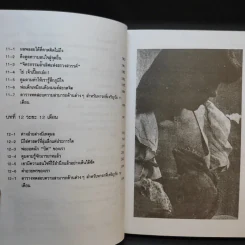 ฝึกสอนก่อนตั้งไข่ ฝึกตั้งแต่ทารกอนาคตสดใสกว่า รูปที่ 12