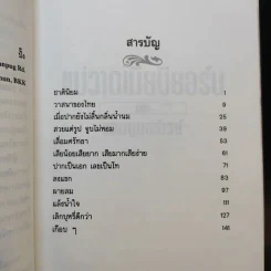 แม่วาดเมียบียอร์น ตอน แอบดูนอร์เวย์ - จันทร์ แอนเดอร์สัน รูปที่ 11