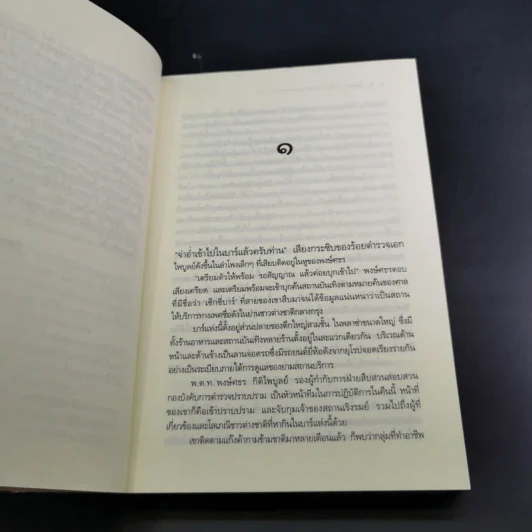 มือปราบหัวใจ - ณารา รูปที่ 9
