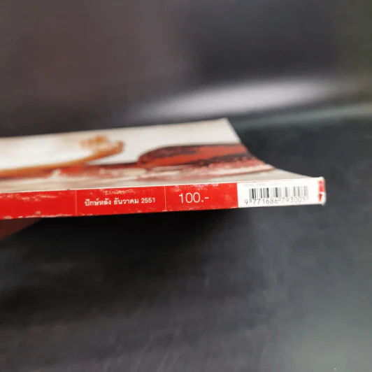 Volume 4/16 088 ธ.ค.2551 มาช่า รูปที่ 13