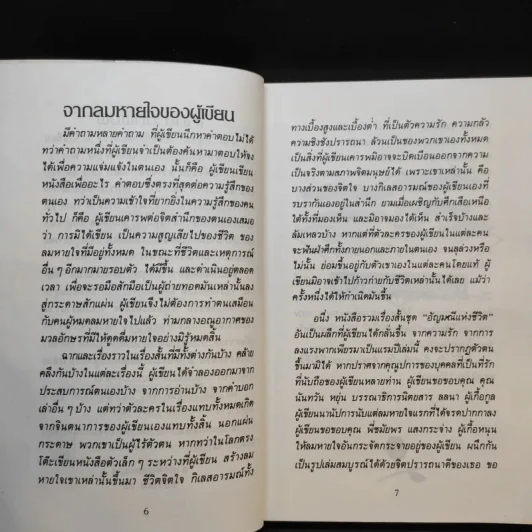 อัญมณีแห่งชีวิต - อัญชัน รูปที่ 10