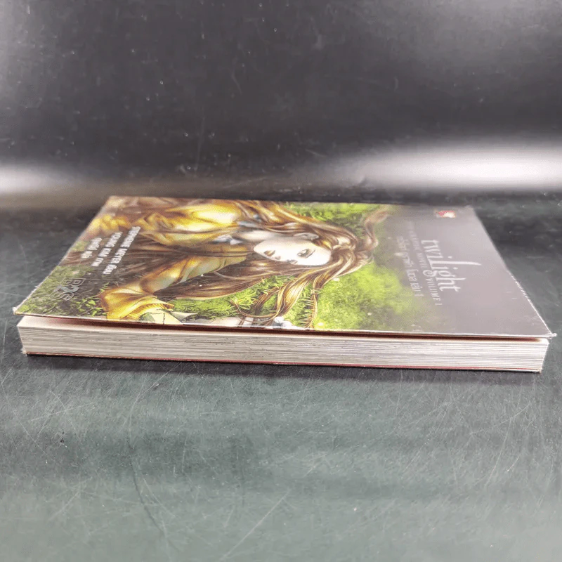 Twilight ทไวไลท์ กราฟิก โนเวล เล่ม 1 รูปที่ 6