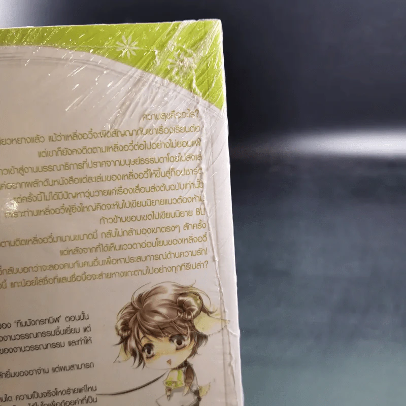 นิยายวาย รักลับๆฉบับกองบรรณาธิการ รูปที่ 9