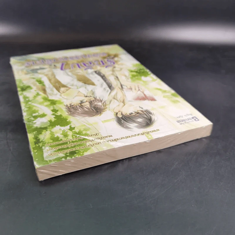 นิยายวาย รักลับๆฉบับกองบรรณาธิการ รูปที่ 8