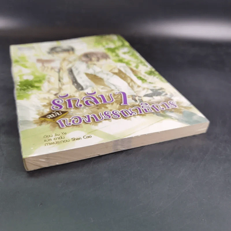 นิยายวาย รักลับๆฉบับกองบรรณาธิการ รูปที่ 6