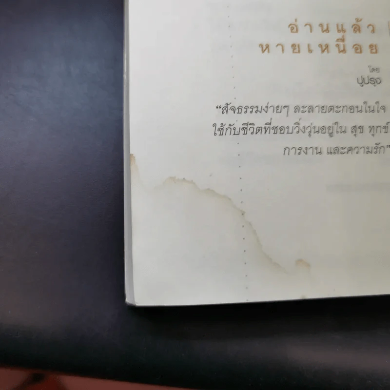 แรงบันดาลใจในวันท้อ - ชุติปัญโญ รูปที่ 17