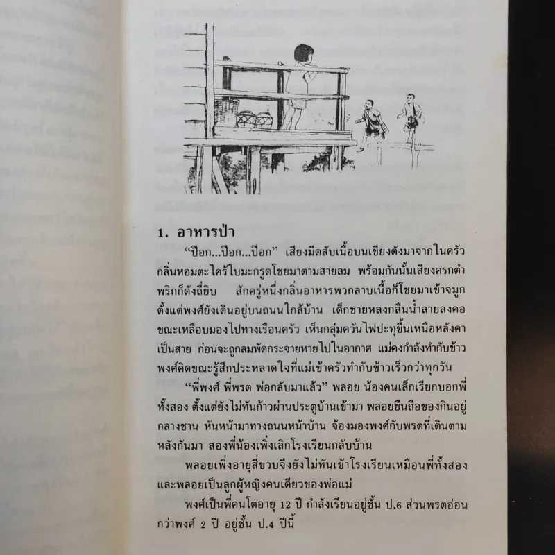 ดอกไม้บานที่เชิงภู - โชติ ศรีสุวรรณ รูปที่ 13