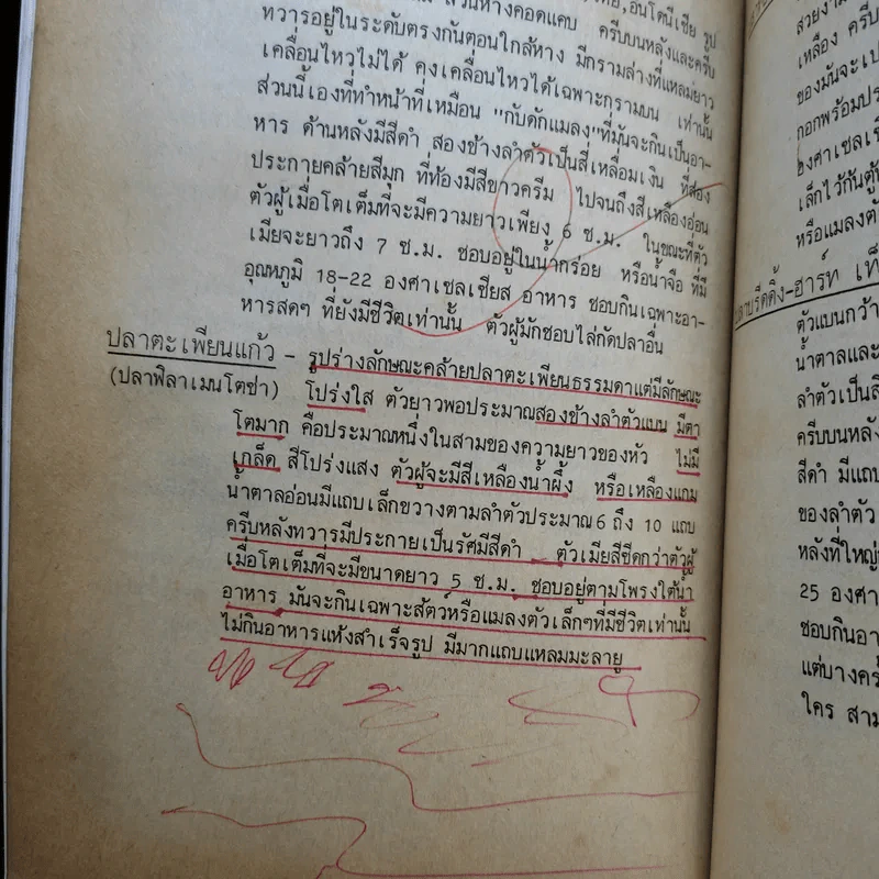 ชีวิต-ธรรมชาติ และวิธีเลี้ยงปลาน้ำจืด เลี้ยงปลาสวยงามทุกชนิด - เกล็ดแก้ว รูปที่ 12