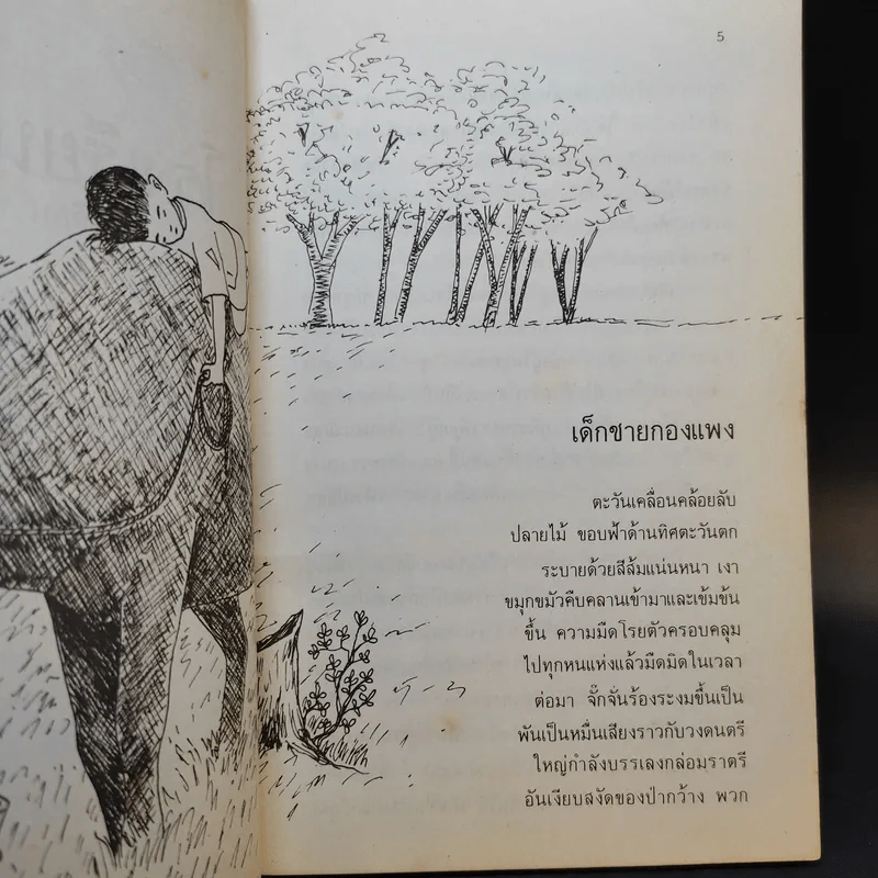 โรงเรียนป่าล้อม - วงเดือน ทองเจียว รูปที่ 10