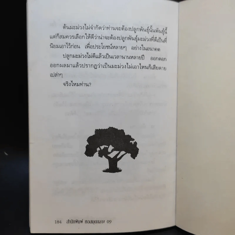 ปลูกไม้มงคลเพื่อโชคชะตาชีวิต รูปที่ 12