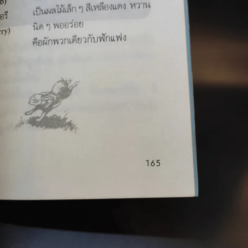 วันสุขสันต์บนเนินเขากระต่าย - โรเบิร์ต ลอว์สัน รูปที่ 13