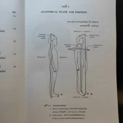 Chula's Atlas of Basic Human Anatomy วิทยาศาสตร์การแพทย์ นักศึกษาพยาบาล เทคนิคการแพทย์ รังสีเทคนิค รูปที่ 12