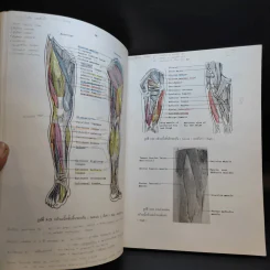 Chula's Atlas of Basic Human Anatomy วิทยาศาสตร์การแพทย์ นักศึกษาพยาบาล เทคนิคการแพทย์ รังสีเทคนิค รูปที่ 16