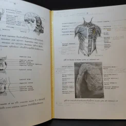 Chula's Atlas of Basic Human Anatomy วิทยาศาสตร์การแพทย์ นักศึกษาพยาบาล เทคนิคการแพทย์ รังสีเทคนิค รูปที่ 15
