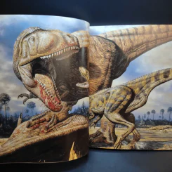 The Art of National Geographic รูปที่ 17