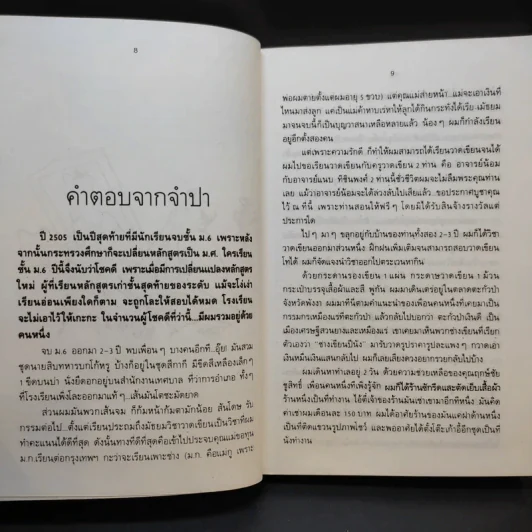 จิตรกรเร่ - ไพบูลย์ พันธ์เมือง รูปที่ 11