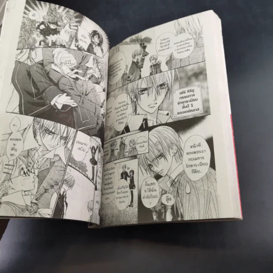 Vampire Knight 19 เล่มจบ (ขาดเล่ม 10,12) รูปที่ 8