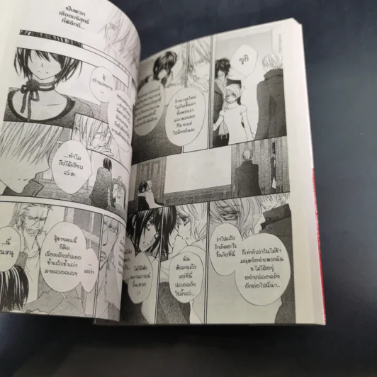 Vampire Knight 19 เล่มจบ (ขาดเล่ม 10,12) รูปที่ 13