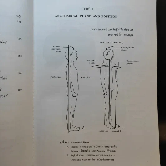 Chula's Atlas of Basic Human Anatomy วิทยาศาสตร์การแพทย์ นักศึกษาพยาบาล เทคนิคการแพทย์ รังสีเทคนิค รูปที่ 12