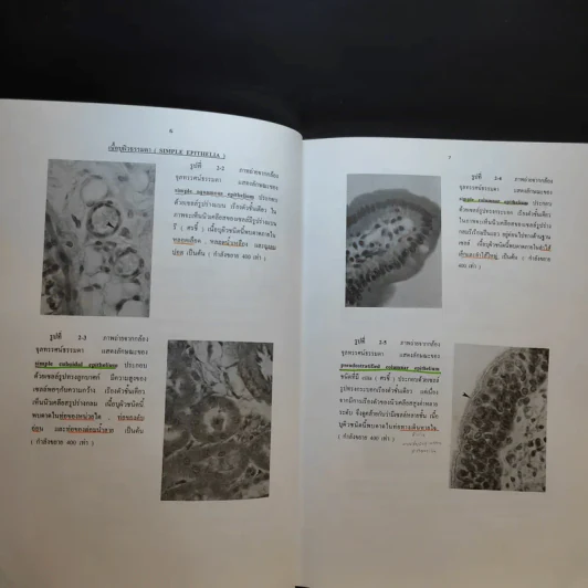 Chula's Atlas of Basic Human Anatomy วิทยาศาสตร์การแพทย์ นักศึกษาพยาบาล เทคนิคการแพทย์ รังสีเทคนิค รูปที่ 13