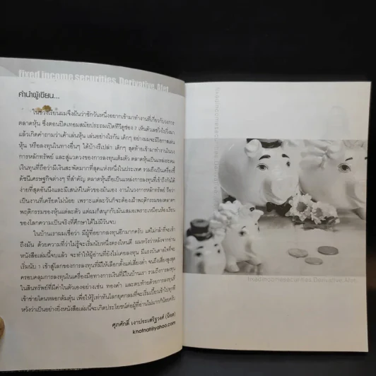 มีเงินทำไง - ศุภศักดิ์ เงาประเสริฐวงศ์ รูปที่ 9