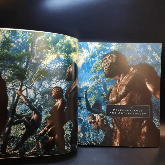 The Art of National Geographic รูปที่ 13