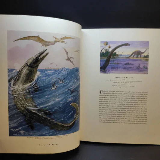 The Art of National Geographic รูปที่ 18