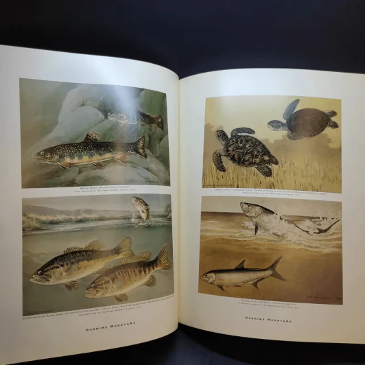 The Art of National Geographic รูปที่ 19