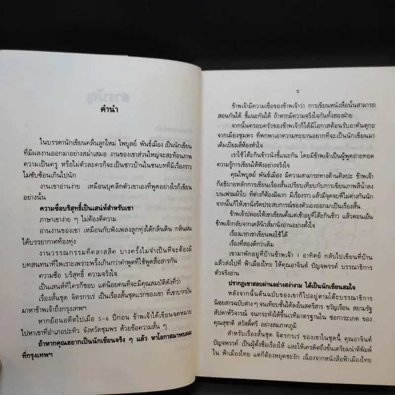 จิตรกรเร่ - ไพบูลย์ พันธ์เมือง รูปที่ 9