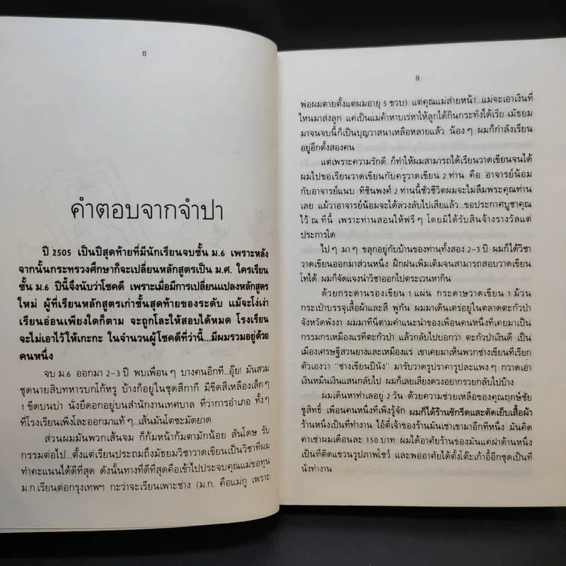 จิตรกรเร่ - ไพบูลย์ พันธ์เมือง รูปที่ 11