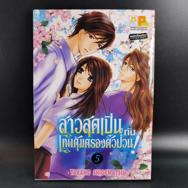 สาวสุดเปิ่นกับเทพคุ้มครองตัวป่วน 5 เล่มจบ รูปที่ 11