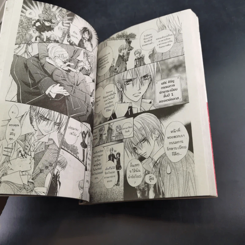Vampire Knight 19 เล่มจบ (ขาดเล่ม 10,12) รูปที่ 8