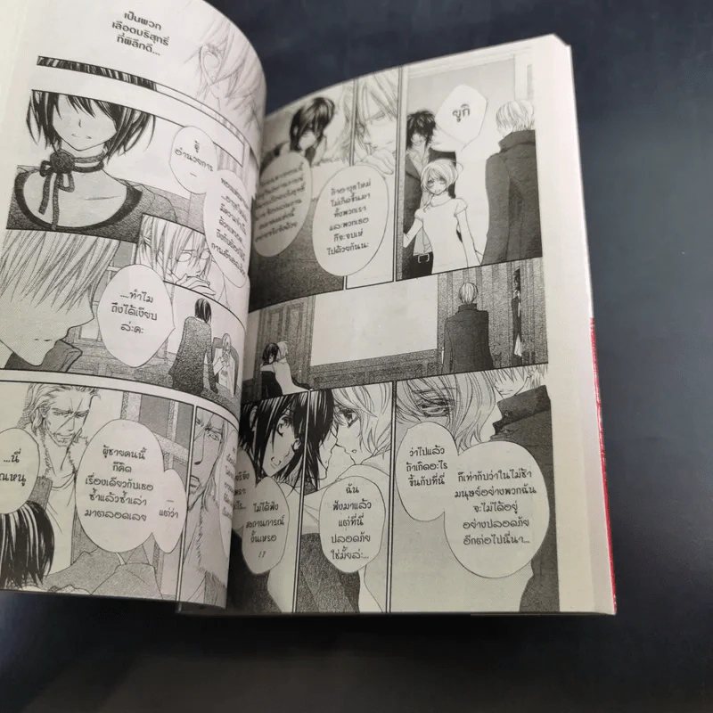 Vampire Knight 19 เล่มจบ (ขาดเล่ม 10,12) รูปที่ 13