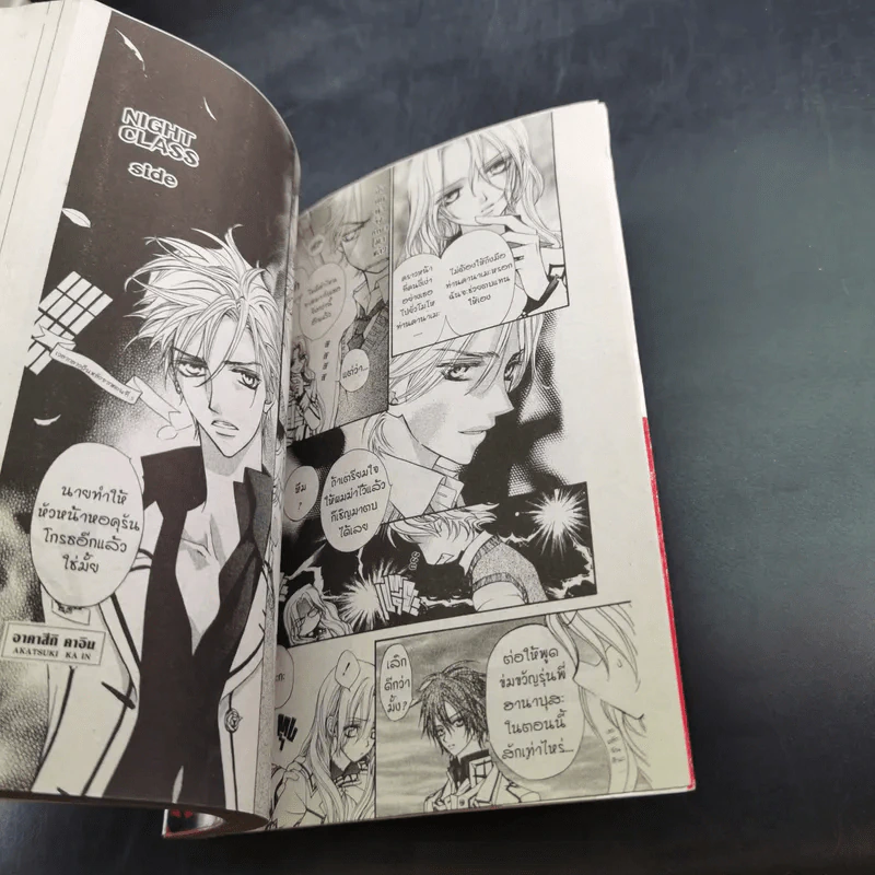 Vampire Knight 19 เล่มจบ (ขาดเล่ม 10,12) รูปที่ 10