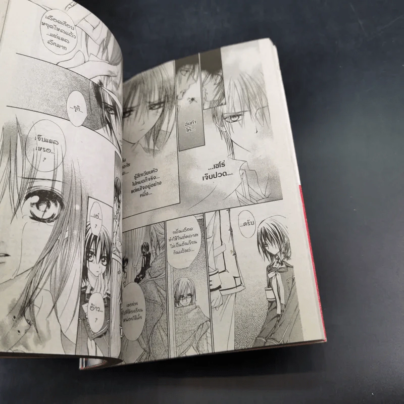 Vampire Knight 19 เล่มจบ (ขาดเล่ม 10,12) รูปที่ 9