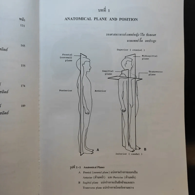 Chula's Atlas of Basic Human Anatomy วิทยาศาสตร์การแพทย์ นักศึกษาพยาบาล เทคนิคการแพทย์ รังสีเทคนิค รูปที่ 12
