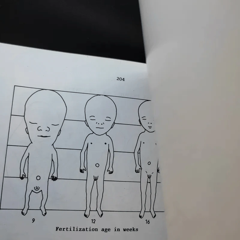 Chula's Atlas of Basic Human Anatomy วิทยาศาสตร์การแพทย์ นักศึกษาพยาบาล เทคนิคการแพทย์ รังสีเทคนิค รูปที่ 17