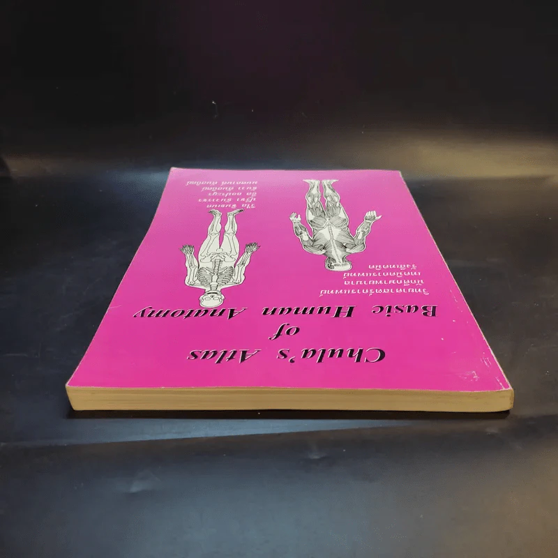 Chula's Atlas of Basic Human Anatomy วิทยาศาสตร์การแพทย์ นักศึกษาพยาบาล เทคนิคการแพทย์ รังสีเทคนิค รูปที่ 6