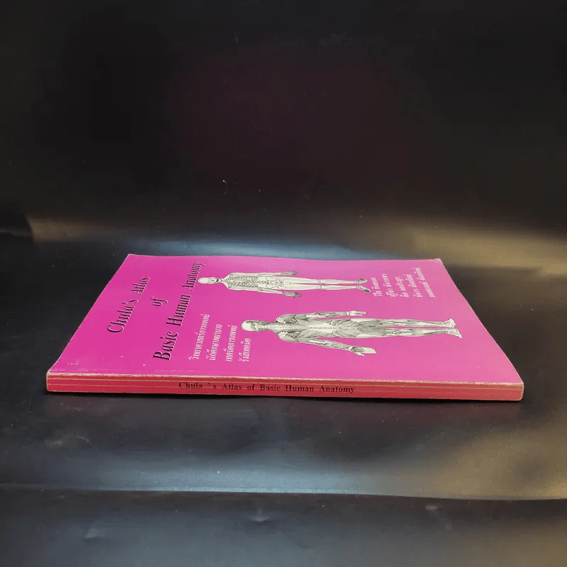 Chula's Atlas of Basic Human Anatomy วิทยาศาสตร์การแพทย์ นักศึกษาพยาบาล เทคนิคการแพทย์ รังสีเทคนิค รูปที่ 3