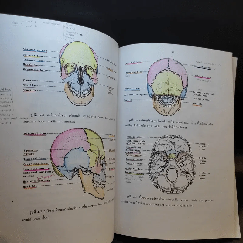 Chula's Atlas of Basic Human Anatomy วิทยาศาสตร์การแพทย์ นักศึกษาพยาบาล เทคนิคการแพทย์ รังสีเทคนิค รูปที่ 14