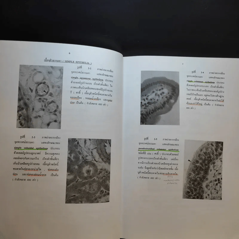 Chula's Atlas of Basic Human Anatomy วิทยาศาสตร์การแพทย์ นักศึกษาพยาบาล เทคนิคการแพทย์ รังสีเทคนิค รูปที่ 13