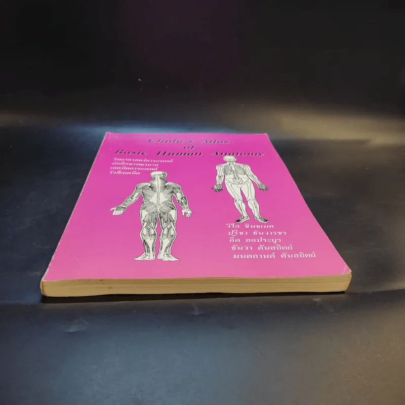 Chula's Atlas of Basic Human Anatomy วิทยาศาสตร์การแพทย์ นักศึกษาพยาบาล เทคนิคการแพทย์ รังสีเทคนิค รูปที่ 4