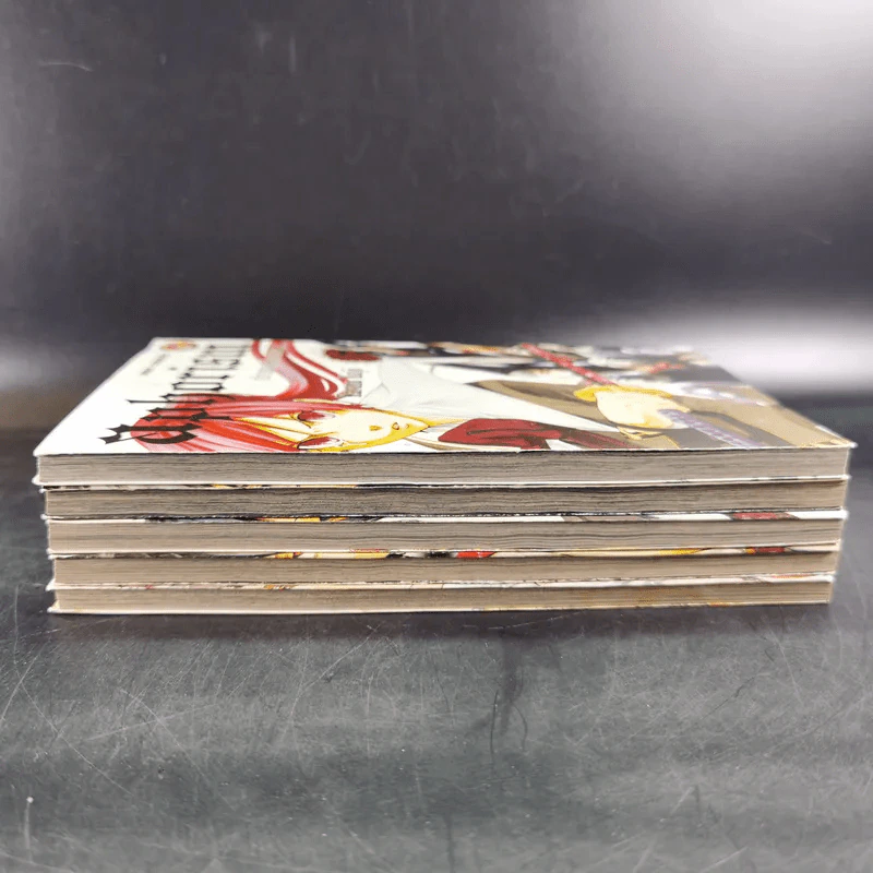 Aphorism อักขระสยบมรณะ เล่ม 1-5 รูปที่ 6