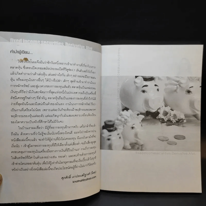 มีเงินทำไง - ศุภศักดิ์ เงาประเสริฐวงศ์ รูปที่ 9