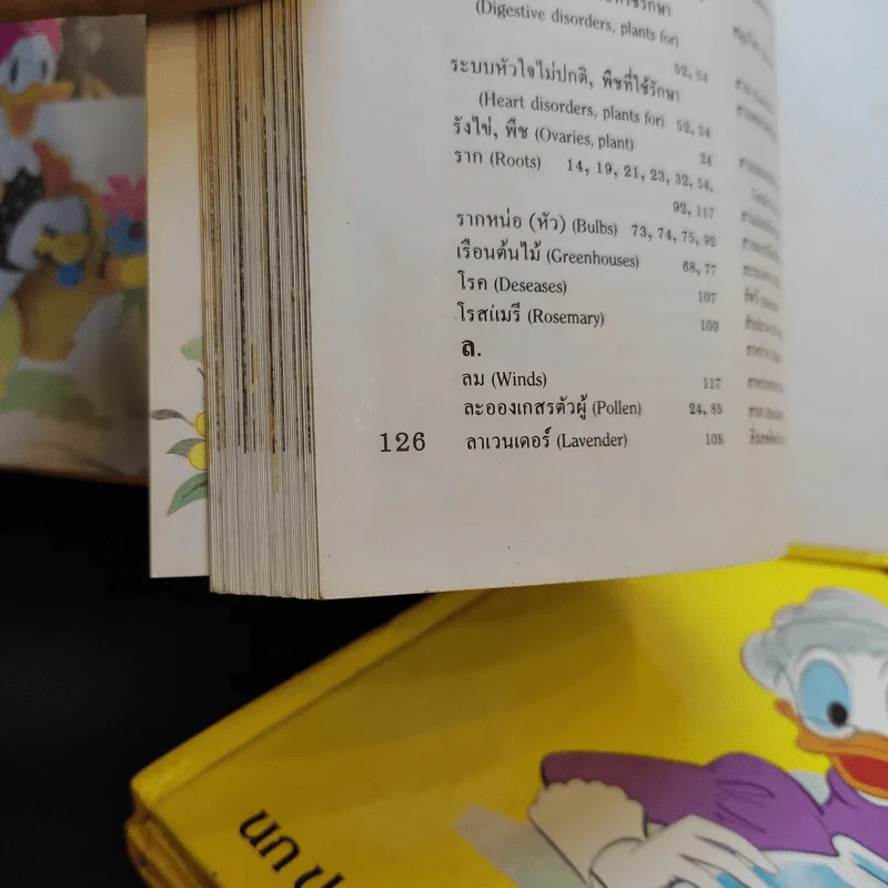 Disney's โลกมหัศจรรย์ เล่ม 2,6,14 รูปที่ 11