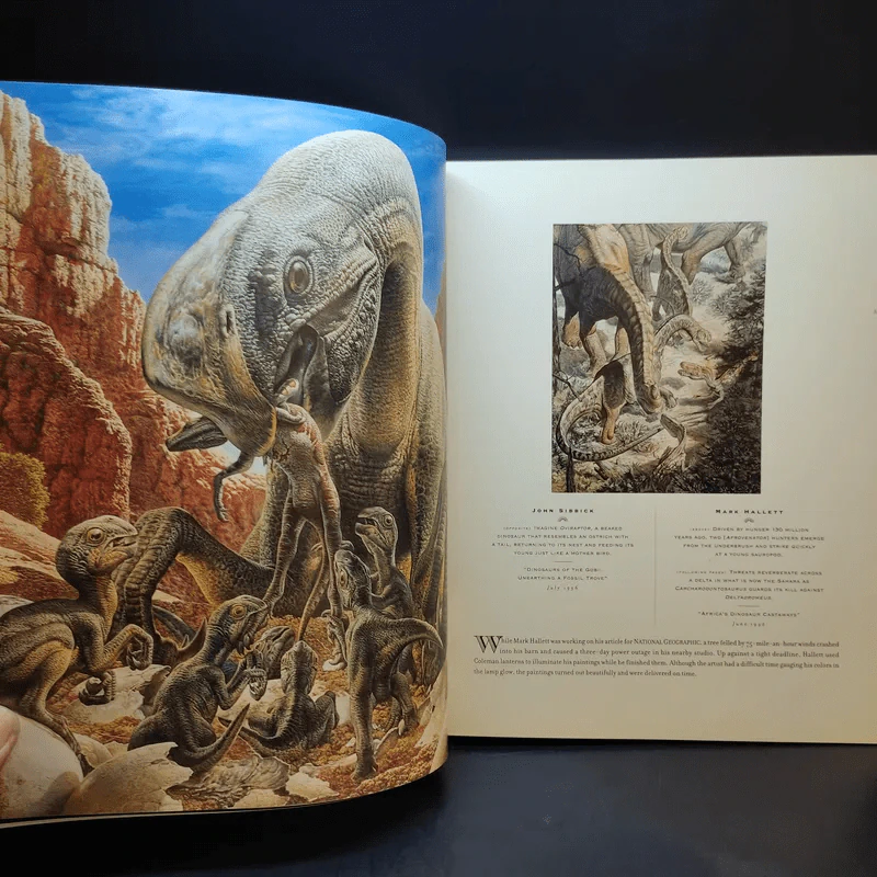 The Art of National Geographic รูปที่ 16