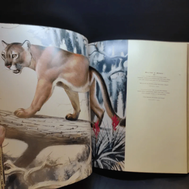 The Art of National Geographic รูปที่ 20