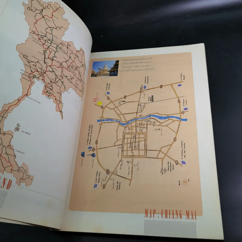 งานประกวดกล้วยไม้เอเชีย แปซิฟิก ครั้งที่ 4 เชียงใหม่ รูปที่ 9