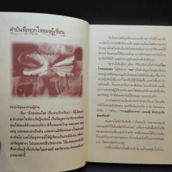 ฝังหุ่นคุณไสย เรียกคนรักกลับมา - ดามภ์ เสาเหม รูปที่ 10